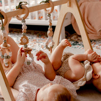 Baby Play Gym Set | Hedgehog