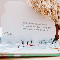 Peep Inside Animal Homes | Usborne | Children's Books | Early Learning