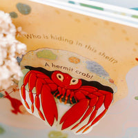 Peep Inside the Sea | Usborne | Children's Books | Early Learning