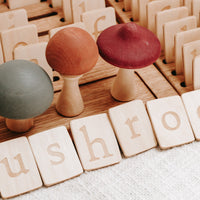 Large Alphabet Board with 2 Lowercase Letters Set + Extra Holding Tray