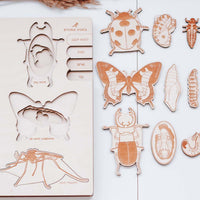A Bug's Life | Life Cycle Puzzle