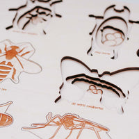Stuka Puka A Bug's Life Puzzle | Educational Puzzle | Homeschooling | Montessori Method | Waldorf Inspired | Early Learning Puzzle