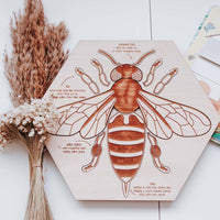 Stuka Puka Busy Bee Puzzle | Educational Puzzle | Homeschooling | Montessori Method | Waldorf Inspired | Early Learning Puzzle