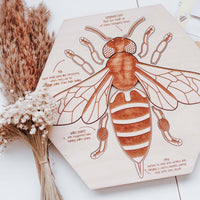 Stuka Puka Busy Bee Puzzle | Educational Puzzle | Homeschooling | Montessori Method | Waldorf Inspired | Early Learning Puzzle