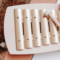Auris Glockenspiel Diatonic 8 Tone | Children's Musical Instrument | Music Education for Kids | Music Therapy