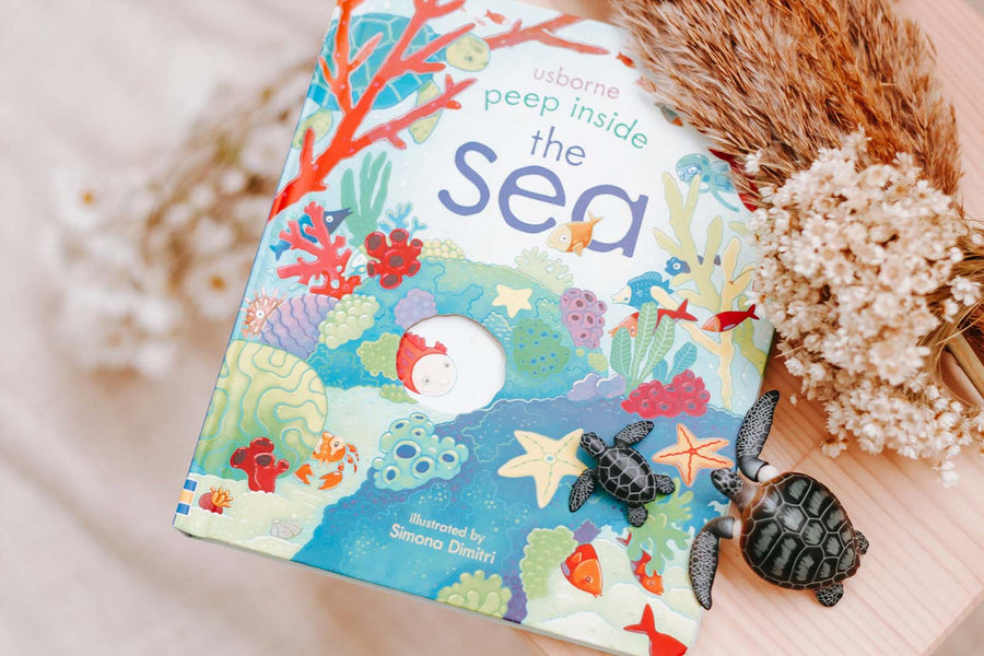 Peep Inside the Sea | Usborne | Children's Books | Early Learning