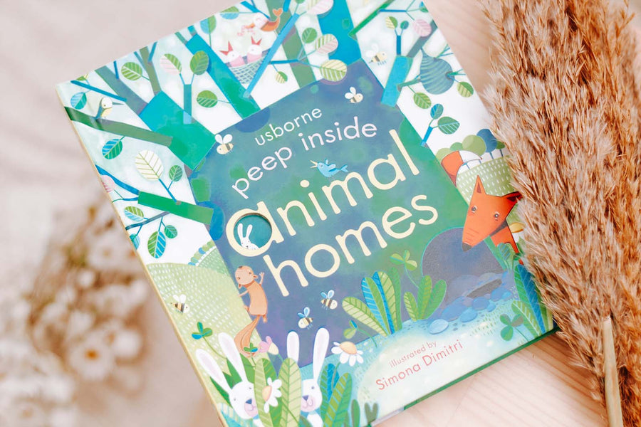 Peep Inside Animal Homes | Usborne | Children's Books | Early Learning