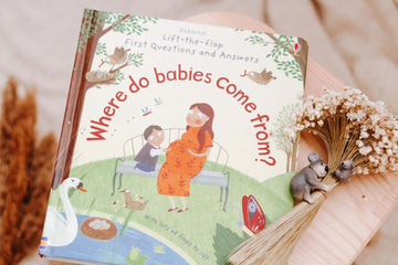 Where Do Babies Come From? | Usborne | Children's Books | Early Learning