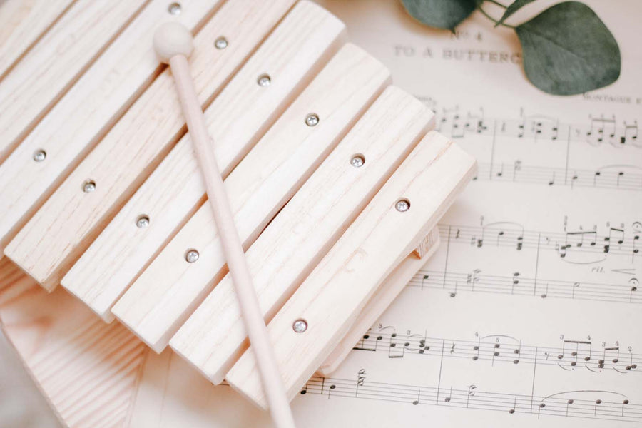 Wooden Xylophone | Children's Musical Instrument 