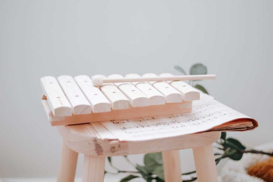 Wooden Xylophone | Children's Musical Instrument 