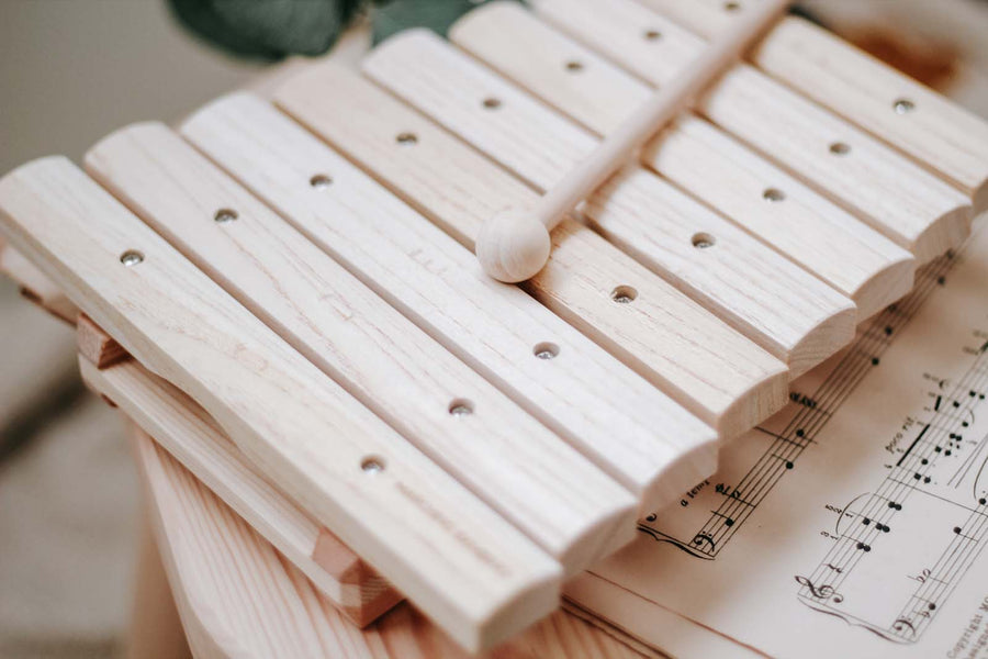 Wooden Xylophone | Children's Musical Instrument 